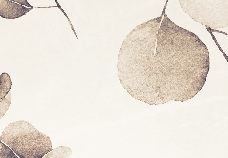Fototapeta Beżowe liście eukaliptusa – kompozycja z motywem roślinnym 138568 additionalImage 4