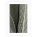 Wall Poster Sage Plant - Close-up of Rough Leaves 150068 additionalThumb 21