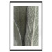 Wall Poster Sage Plant - Close-up of Rough Leaves 150068 additionalThumb 24