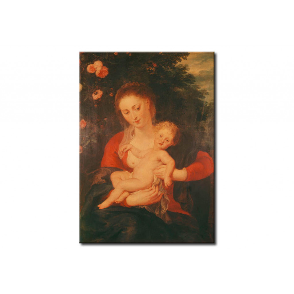 Schilderij  Peter Paul Rubens: Madonna With Forgetmenot