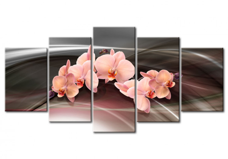 Quadro contemporaneo Orchidea rosa su sfondo scuro 55568