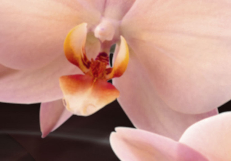 Quadro contemporaneo Orchidea rosa su sfondo scuro 55568 additionalImage 5