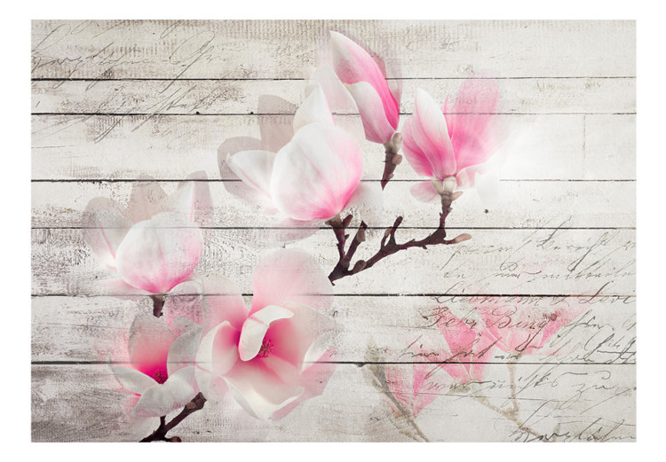 Photo Wallpaper Delicacy of magnolias - pink and white flower against white wood planks 62468 additionalImage 1