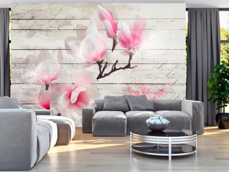 Fototapeta Delikatność magnolii - różowobiały kwiat na tle desek z białego drewna
