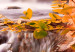 Obraz Dolina jesieni 90568 additionalThumb 5