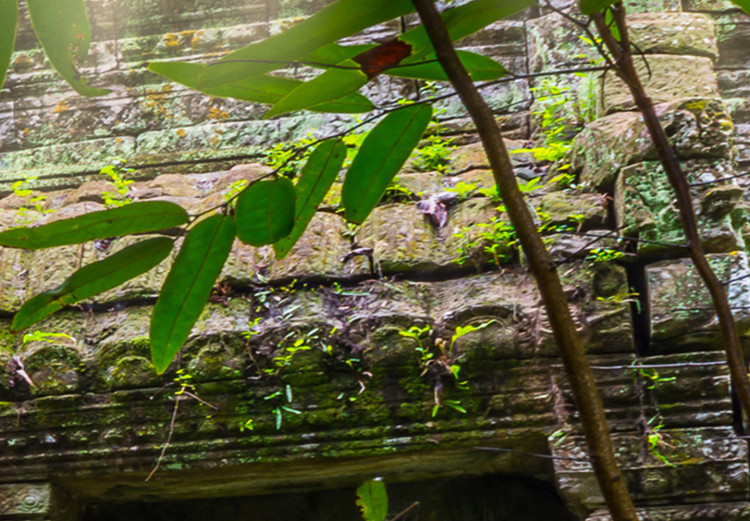 Canvas Print Preah Khan in Angkor Wat - photography with architecture and jungle 124378 additionalImage 5