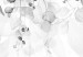 Cuadro redondos moderno Black and White - Various Tiny Leaves Falling Down 148678 additionalThumb 3