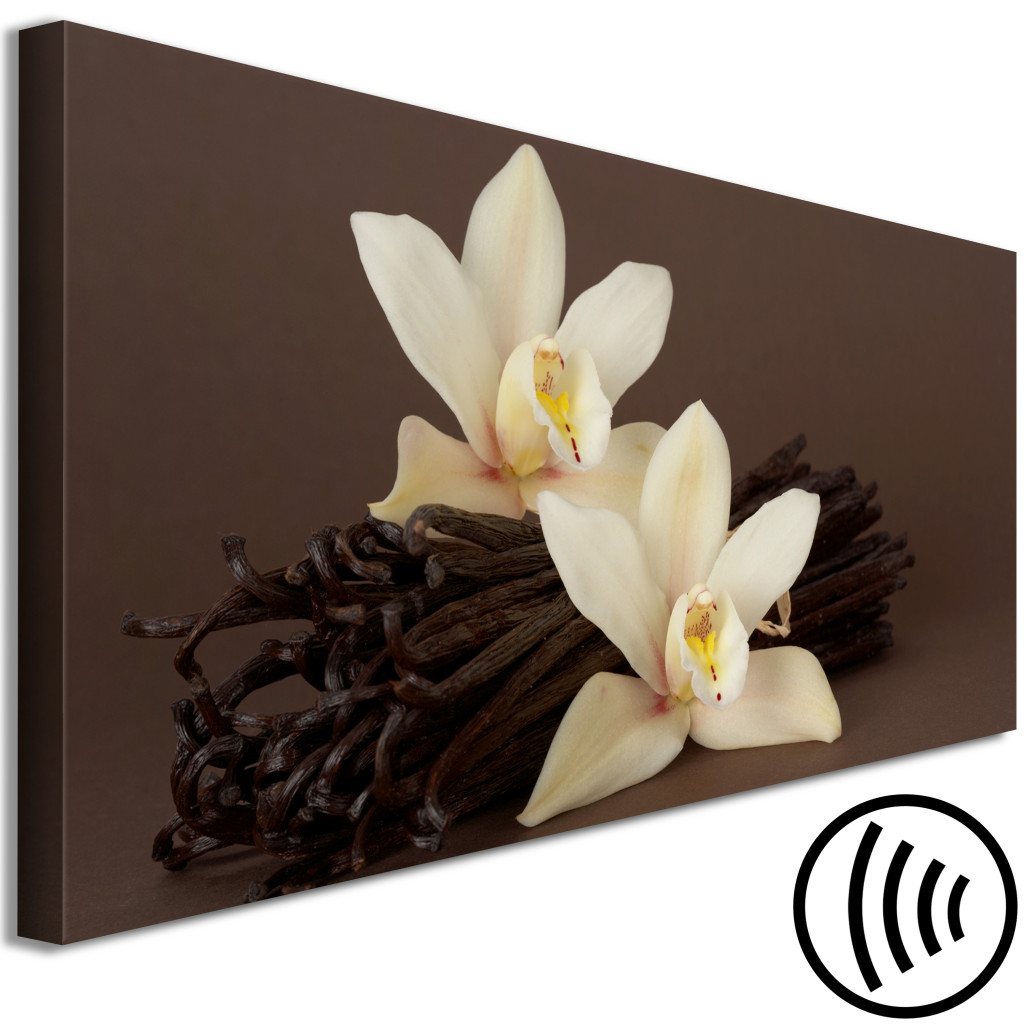 Schilderij  Orchideeën: Orchid With Vanilla (1 Part) Narrow