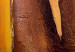 Tableau mural Abstraction ensoleillée (1 pièce) - Divers motifs dans tons bruns 46778 additionalThumb 3
