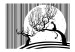 Wall Mural Black and White Striped Night - Cat sitting on a tree against a moon background 61278 additionalThumb 1