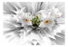 Photo Wallpaper Floral Explosion 108188 additionalThumb 1