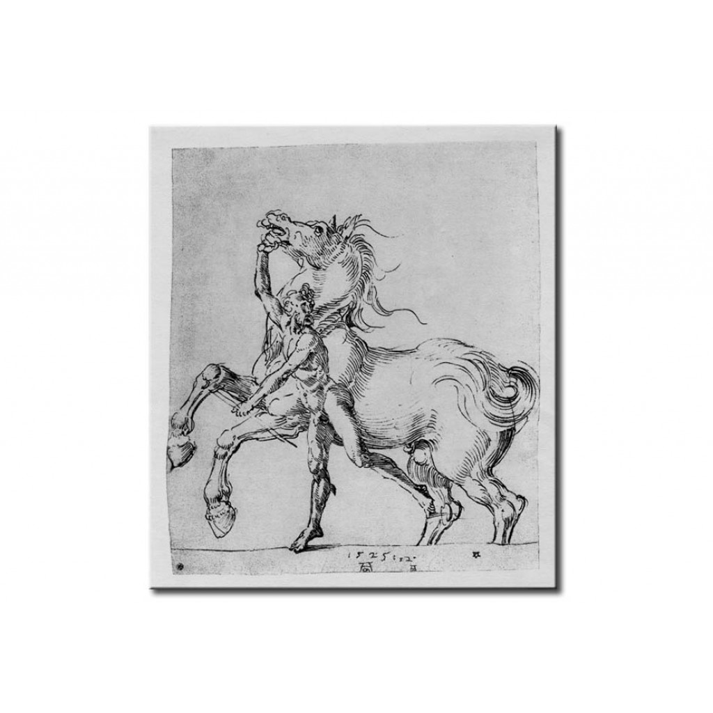 Schilderij  Albrecht Dürer: Nude Man With Horse