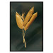 Poster Golden Vegetation - Bouquet of Leaves on a Dark Green Background 145488 additionalThumb 20