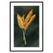 Poster Golden Vegetation - Bouquet of Leaves on a Dark Green Background 145488 additionalThumb 24