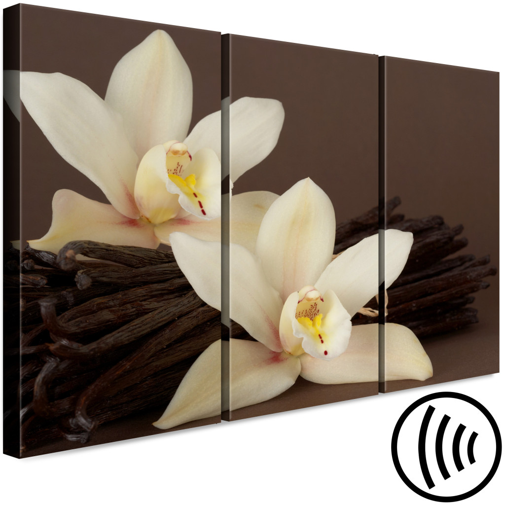Schilderij  Orchideeën: Orchid With Vanilla (3 Parts)