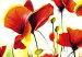 Wandbild Strahlend schöne Blumenwiese 48488 additionalThumb 4
