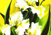 Wandbild Strahlend schöne Blumenwiese 48488 additionalThumb 5