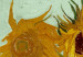 Reproducción de cuadro Doce girasoles en un jarrón 52588 additionalThumb 2