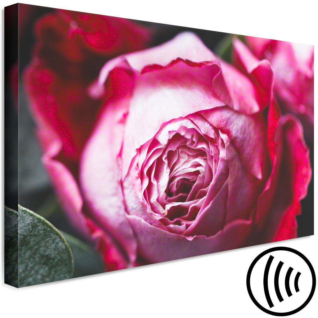 Målning Rose - Närbild Av En Klassisk Rosa Blomma På En Geometrisk Bakgrund