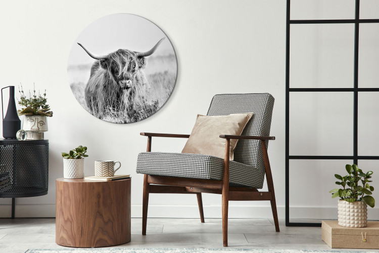 Round Canvas Black and White Scottish Cow - an Animal Among Tall Dry Grasses 148698 additionalImage 2