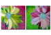 Leinwandbild Fantasie (2-teilig) - bunte Illustrationen von Blumen mit Schriftzug 48598