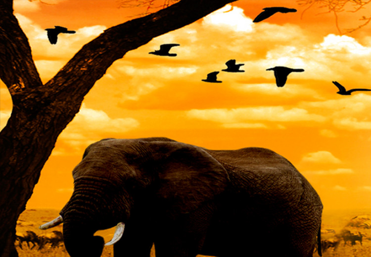 Leinwandbild Elefanten unter einem Baum - Sonnenuntergang mit Tieren der Savanne 50498 additionalImage 4