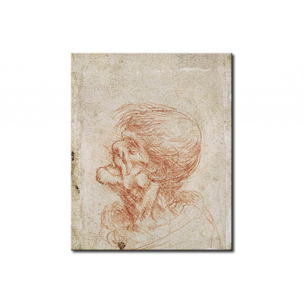 Schilderij  Leonardo Da Vinci: Caricature Head Study Of An Old Man