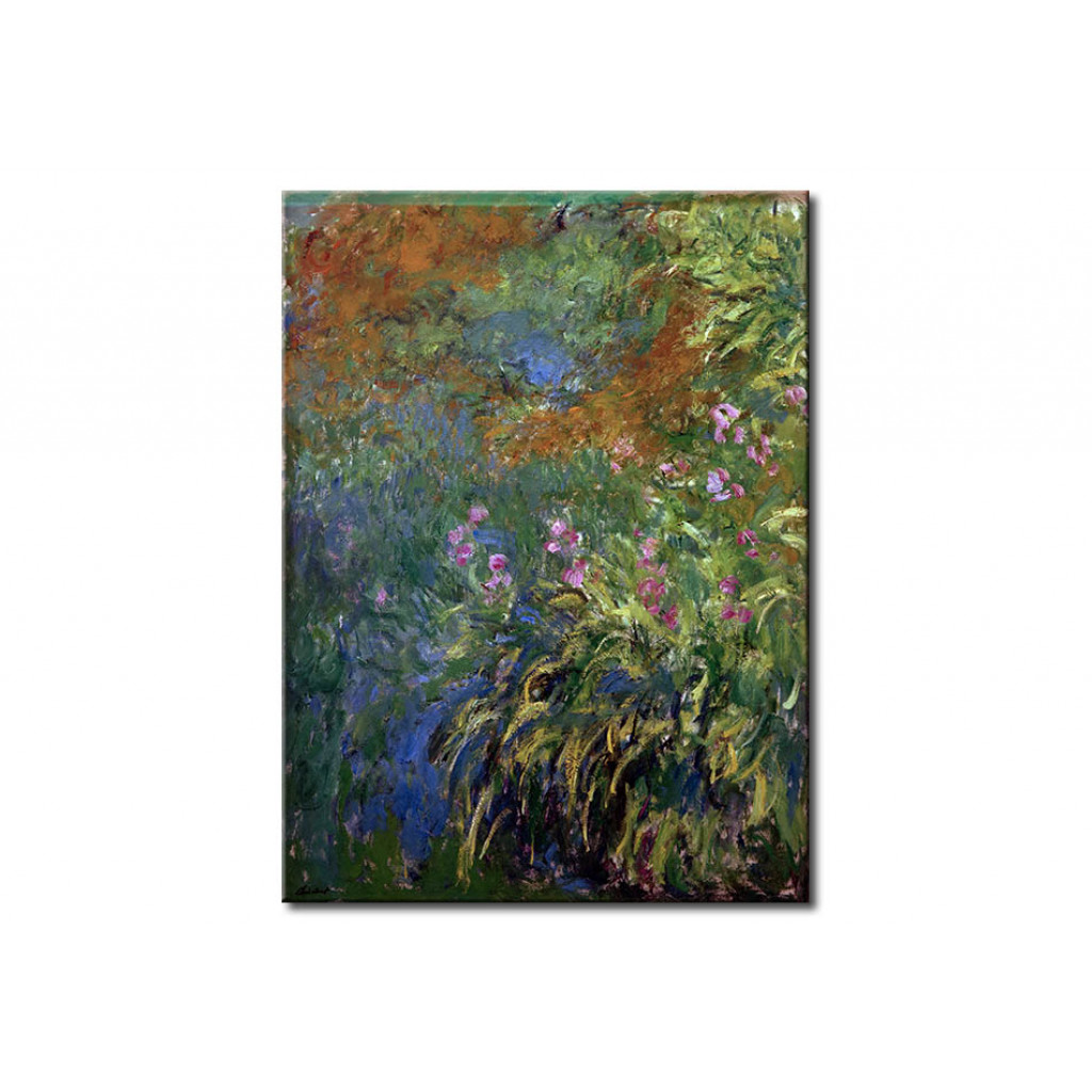 Schilderij  Claude Monet: Iris