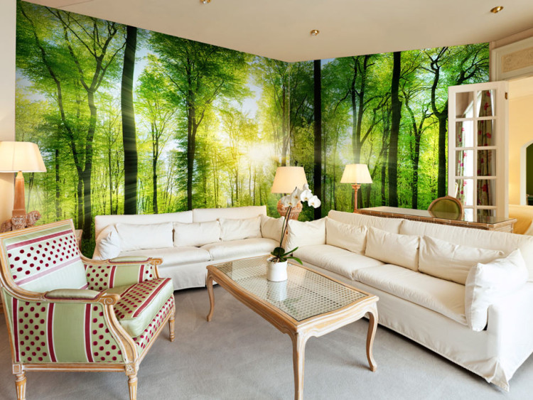 Wall Mural Forest: Sunrise - Landscape with Trees and Juicy Coloured Leaves 60498