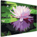 Måla med siffror Water Lily 107509 additionalThumb 5