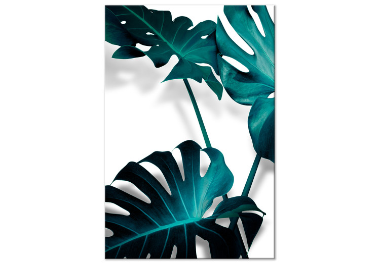 Canvastavla Blommande Monstera (1-del) - smaragdgrön färg av växtnatur