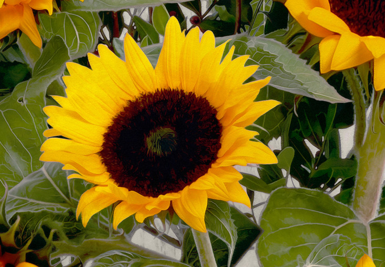 Konst Van Gogh's Sunflowers (1 Part) Vertical 124409 additionalImage 4