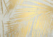 Fototapeta Okrąg z palm - jasna tropikalna kompozycja 138209 additionalThumb 4