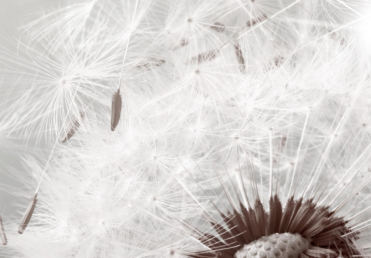 Round Canvas Blown - Photo of a Blown Dandelion on a Gray-Beige Background 148609 additionalImage 4