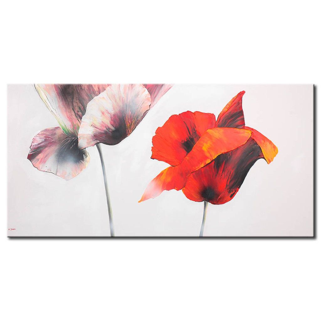 Schilderij  Klaprozen: Schaduw Van Een Witte En Rode Klaproos (1-delig) - Bloemenmotief In Wit