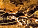 Wandbild Skulpturen in Gold  47309 additionalThumb 2