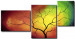 Obraz Kolory drzewa 49809