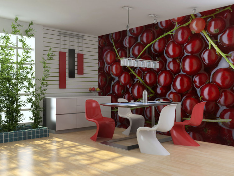 Wall Mural Fruit Flavours - Red Currants with Branches Submerged in Water 59809