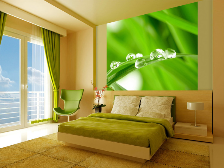 Wall Mural Water drops on a blade of grass 59909