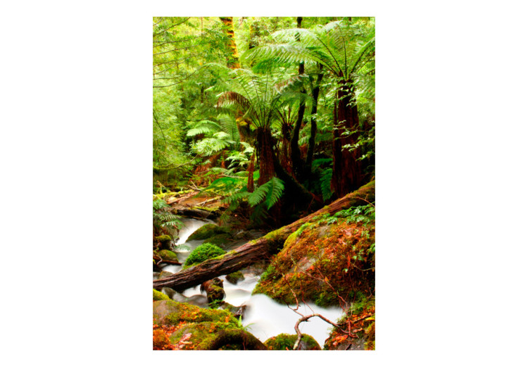 Wall Mural Equatorial Forest - Jungle Landscape with Various Species of Plants and a River 60509 additionalImage 1