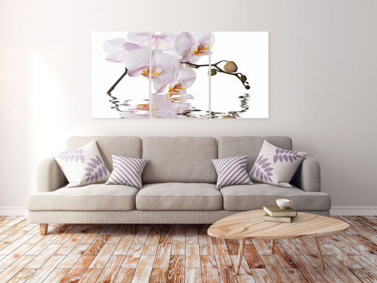 Obraz Różowy storczyk - tryptyk z kwitnącym kwiatem orchidei na białym tle 123419 additionalImage 3