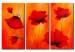 Canvas Print Charming poppies 47219