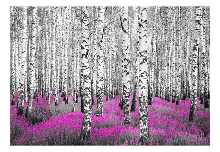 Wall Mural Ruby Asylum - Abstract Forest Landscape with Birch Trees and an Accent 60519 additionalImage 1
