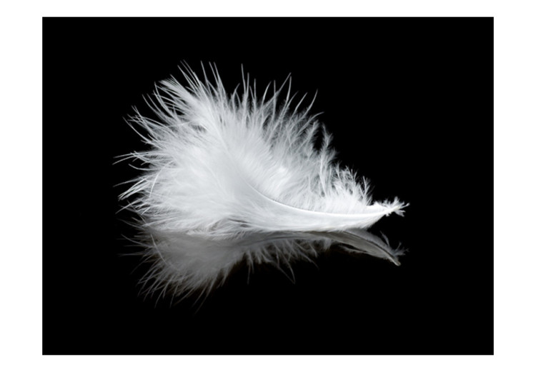Carta da parati moderna White feather 61319 additionalImage 1
