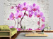 Carta da parati moderna Ammirazione viola - orchidee immersi in acqua su sfondo di muro bianco 62019