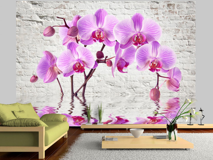 Fototapete Lila Begeisterung - Orchideen unter Wasser vor weißer Mauer