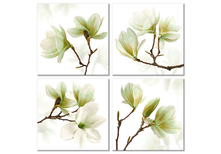 Cuadro en lienzo Admiración de magnolia