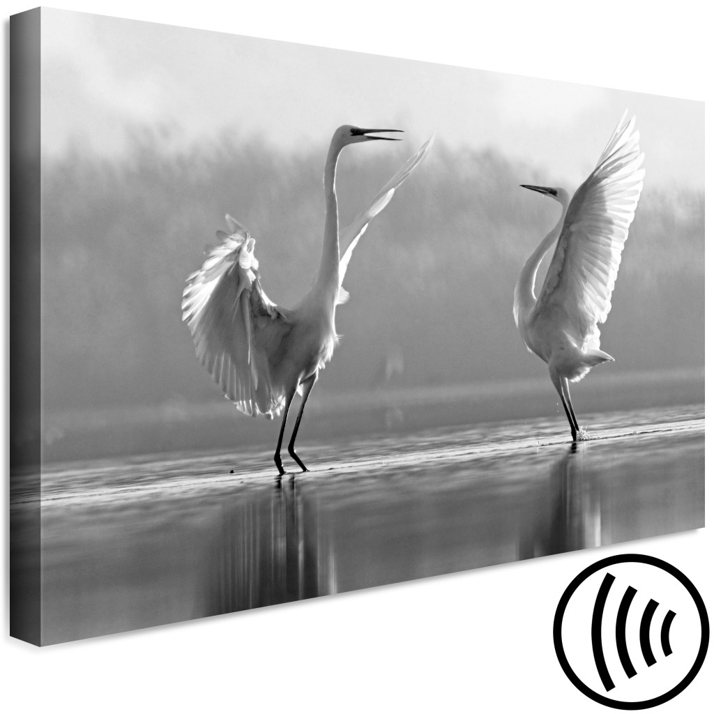 Schilderij  Vogels: Vogeldans Van Liefde (1-delig) - Witte Zwanen Weerspiegeld In Het Water