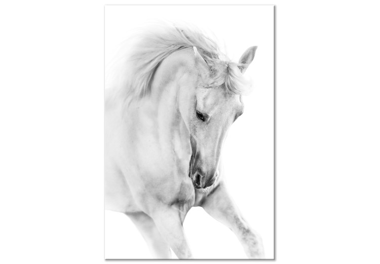 Canvastavla White Horse (1 Part) Vertical
