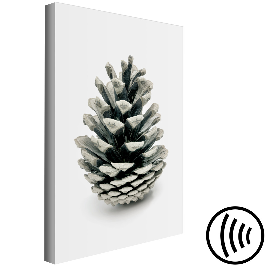 Schilderij  Digitale Beelden: Winterkegel - Groente, Winterfoto Op Een Witte Achtergrond